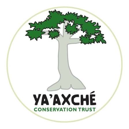 Organization Logo